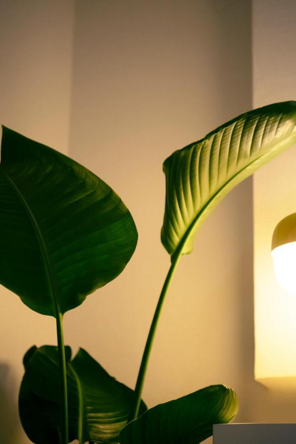 #9 3Mins To Station 1Stop To Shinjuku Stylish Apartment With Plenty Of Sunlight Tokyo Dış mekan fotoğraf
